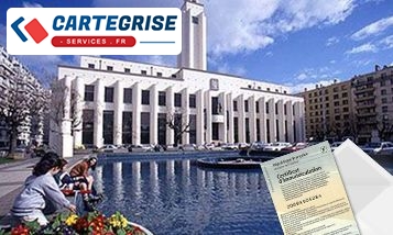 Carte-grise-Villeurbanne